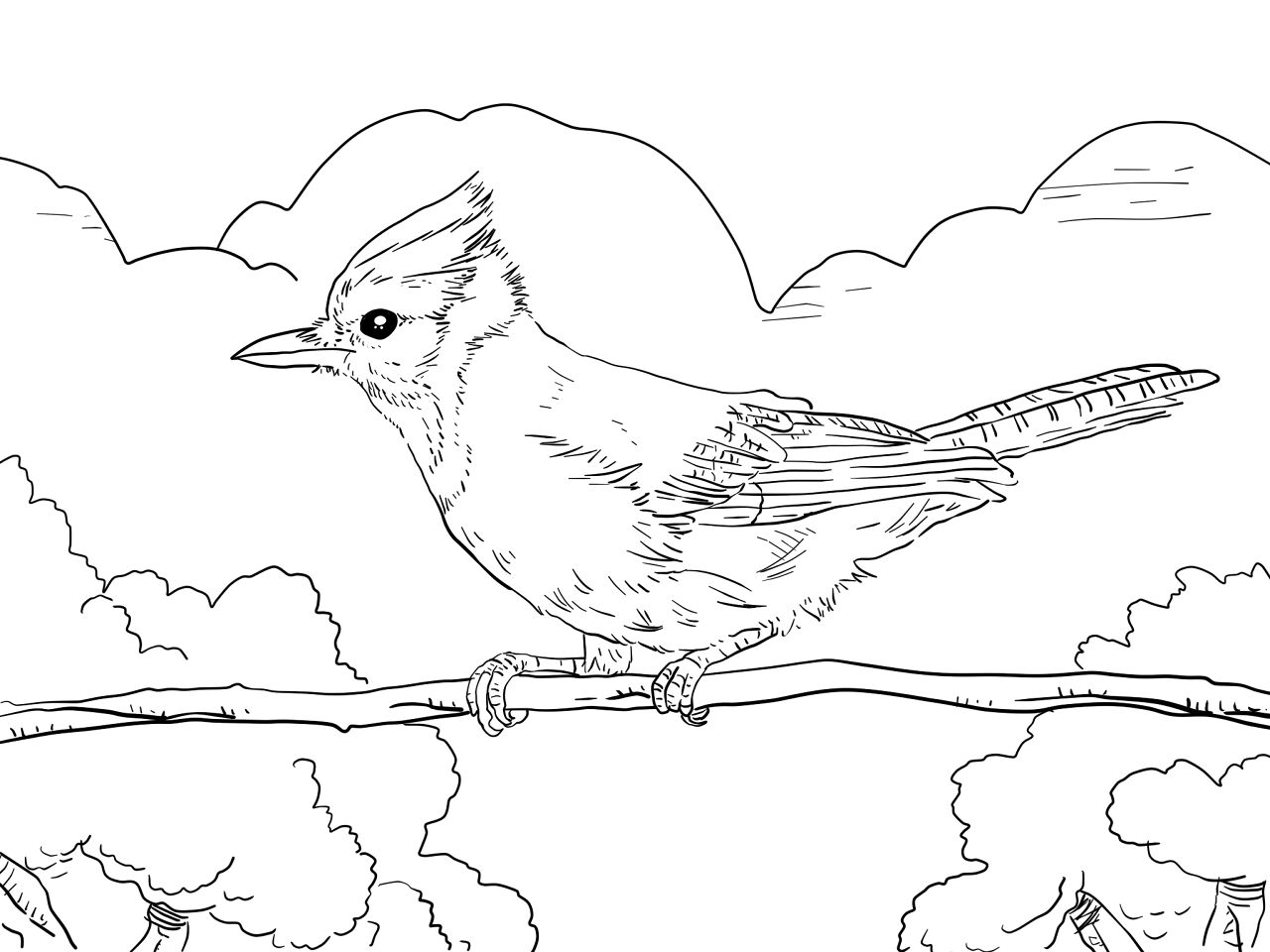 Desenho de Peixes para colorir