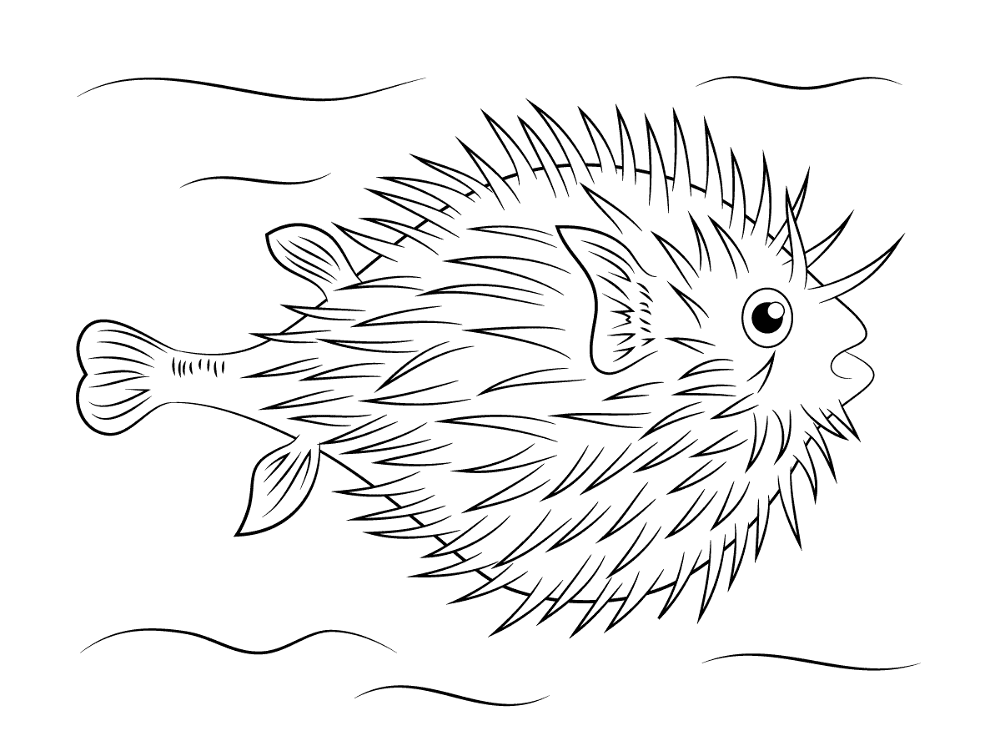 Desenho de Peixes para colorir