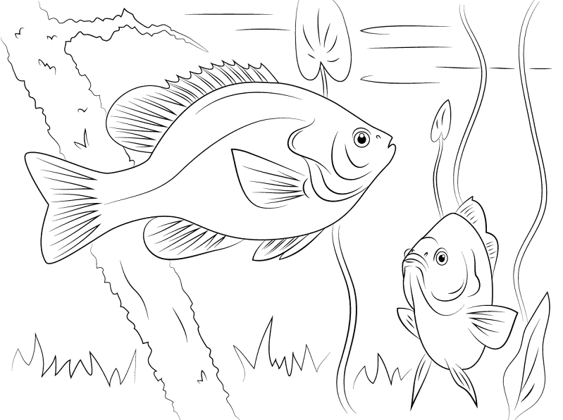 Desenho de Peixes para colorir