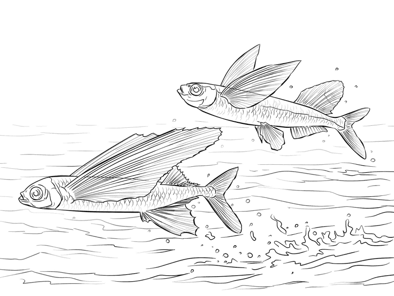Desenho de Peixes para colorir