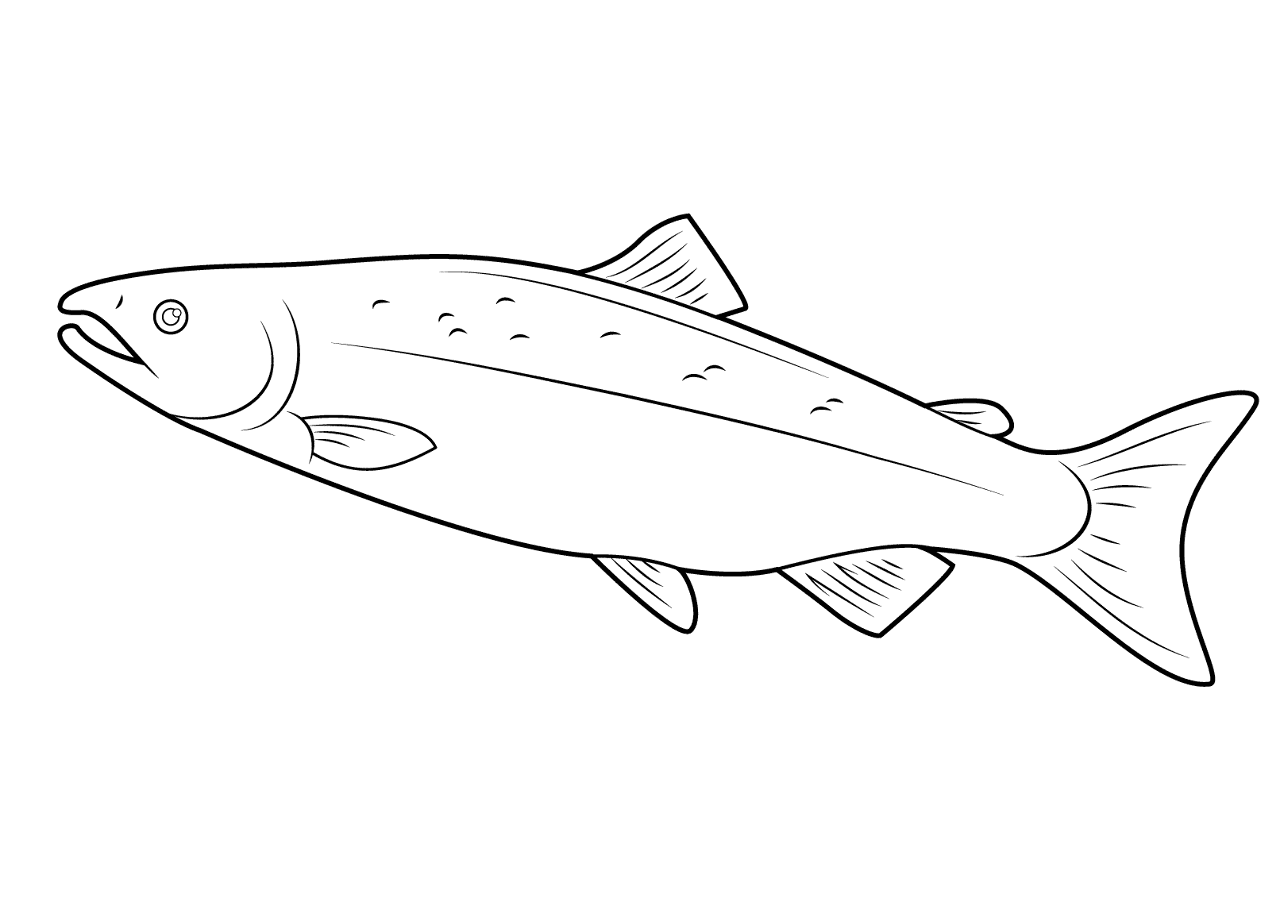 Desenho de Peixes para colorir