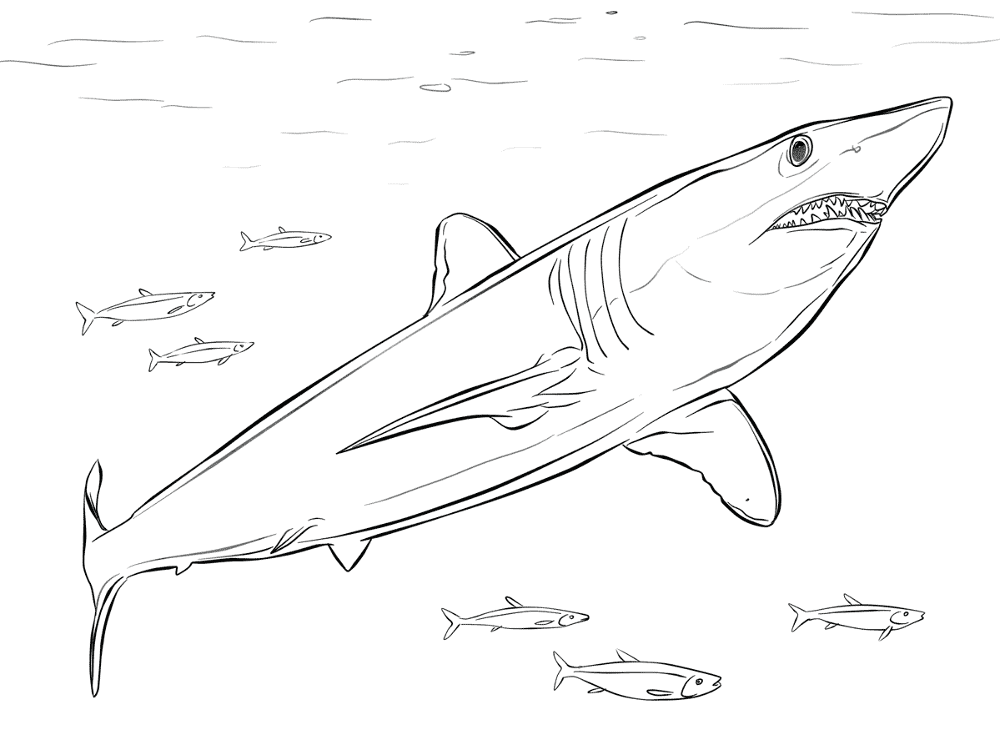 Desenho de Peixes para colorir