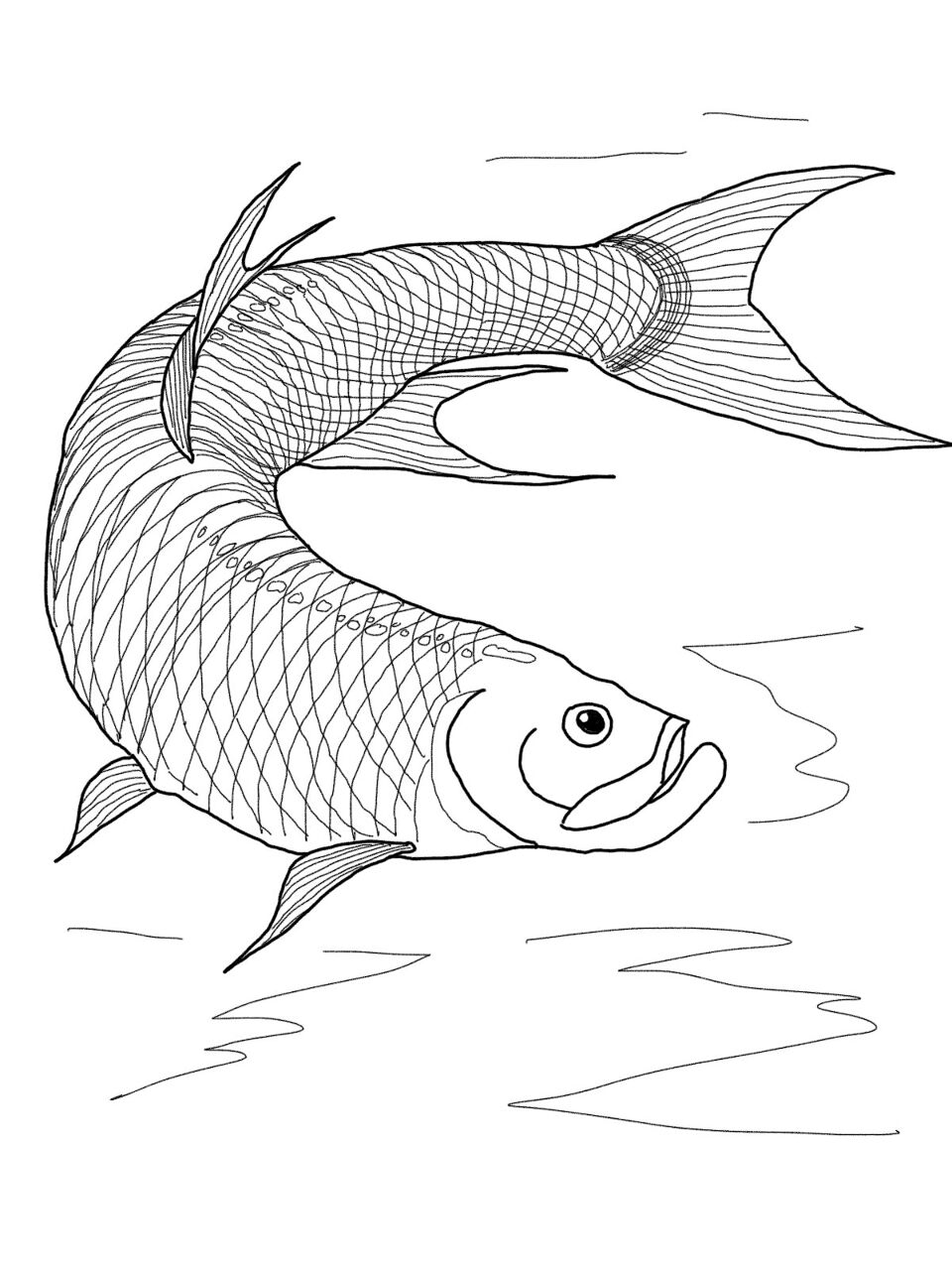 Desenho de Peixes para colorir