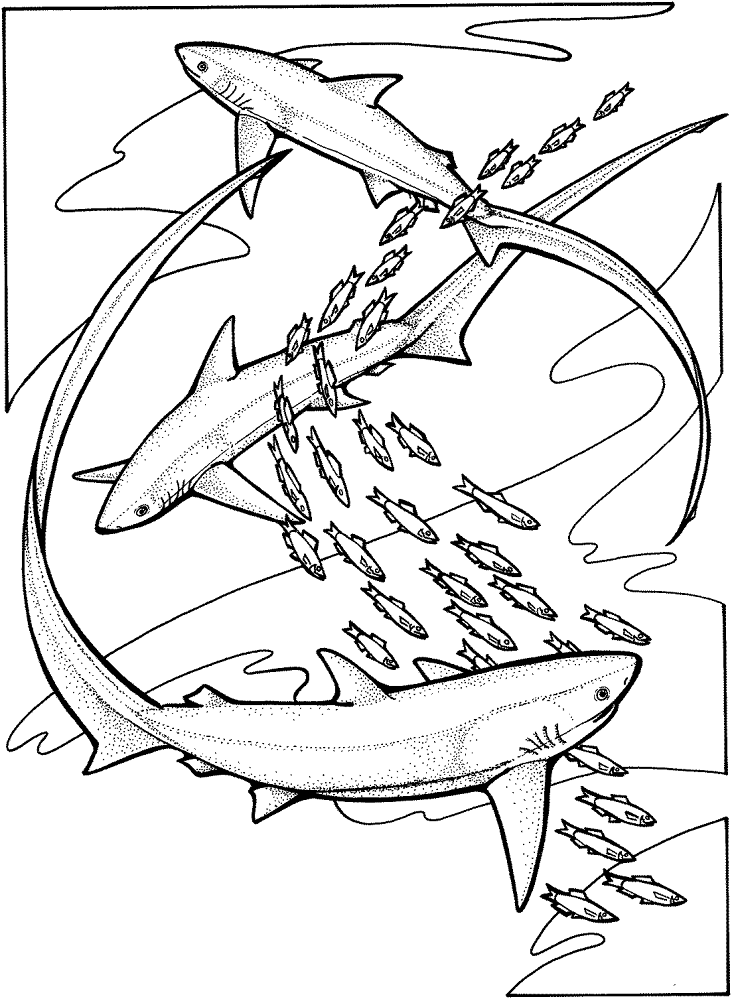 Desenho de Peixes para colorir