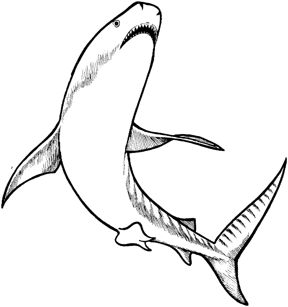 Desenho de Peixes para colorir