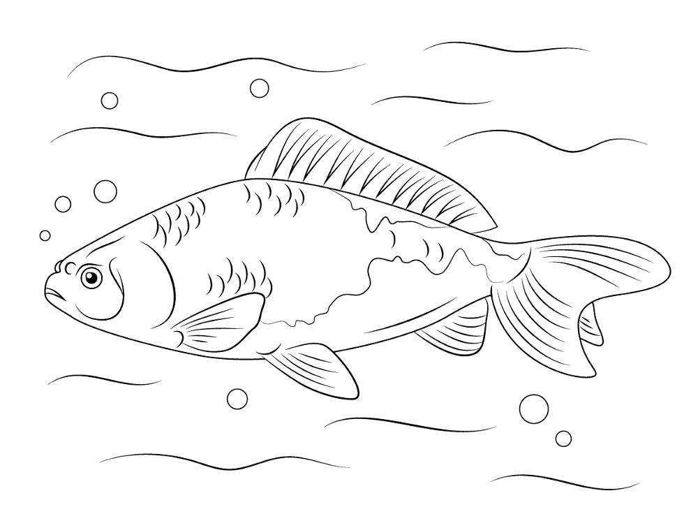 Desenho de Peixes para colorir