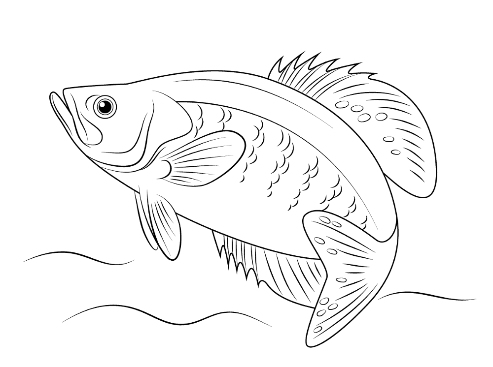 Desenho de Peixes para colorir