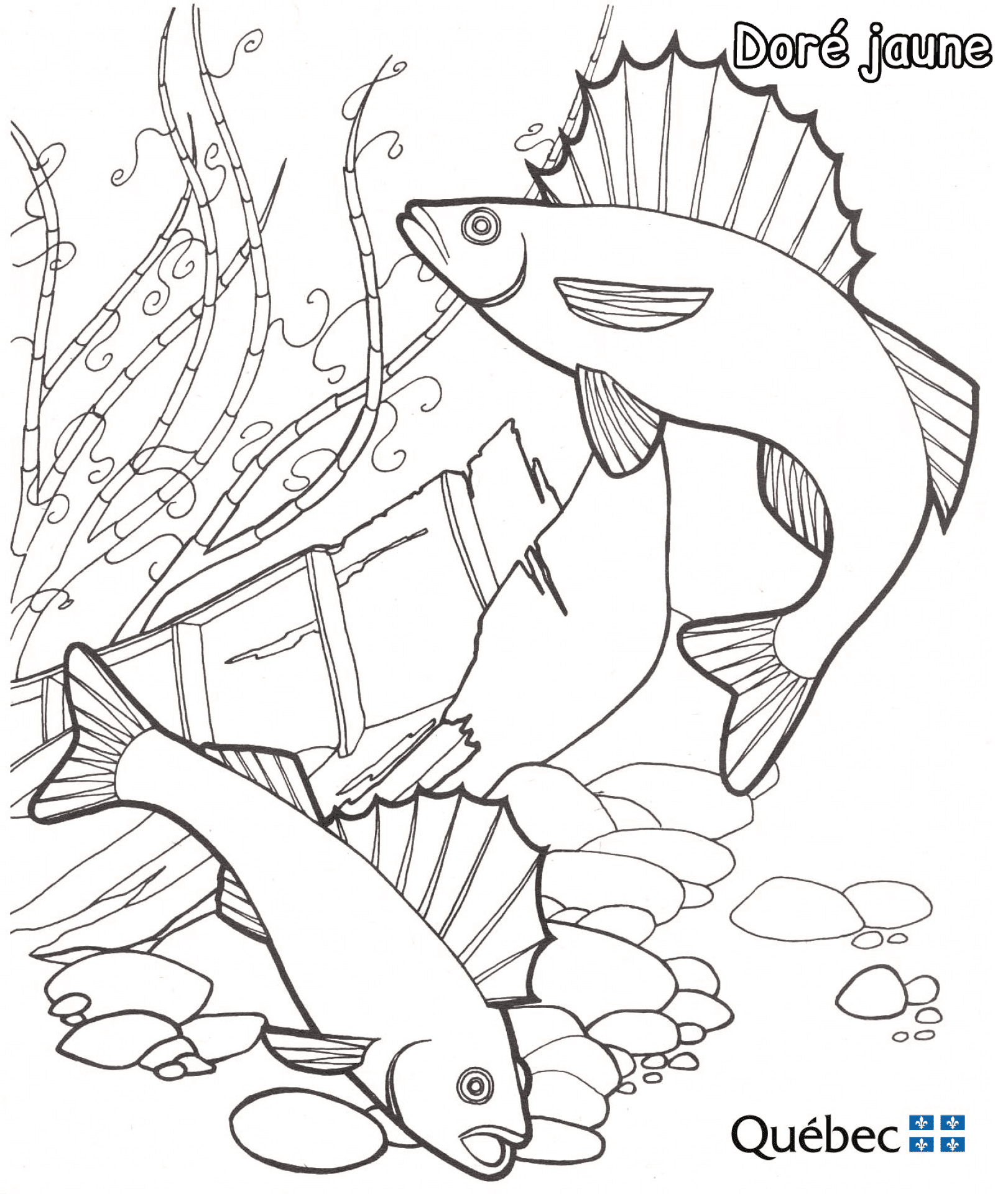Desenho de Peixes para colorir