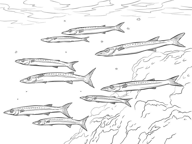 Desenho de Peixes para colorir