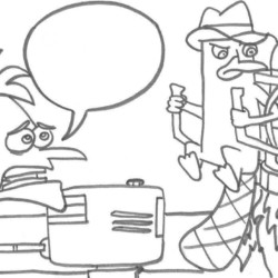 Desenho de Phineas e Ferb para colorir e imprimir: número 14