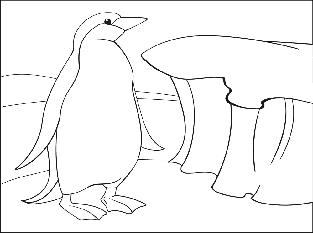 Desenho de Pinguins para colorir e imprimir: número 4