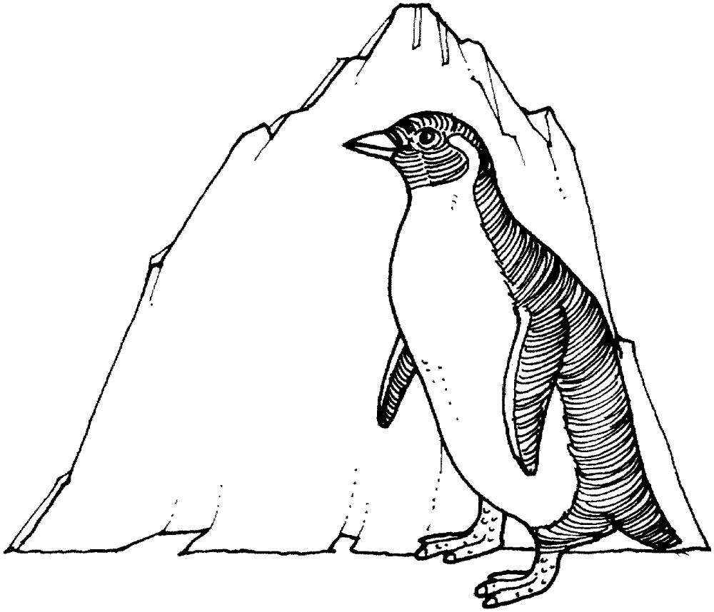 Desenho de Pinguins para colorir e imprimir: número 9