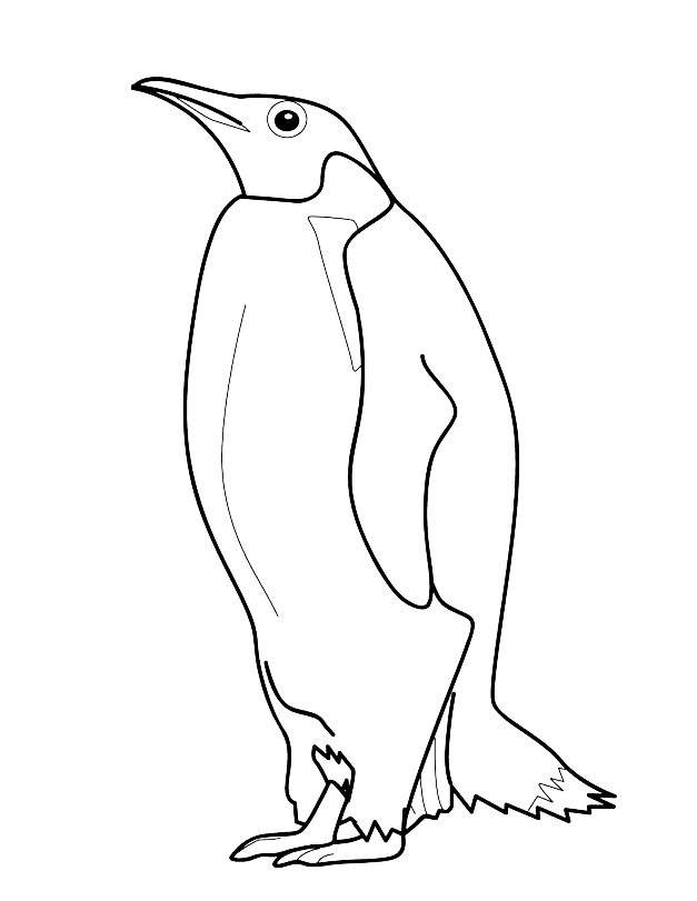 Desenho de Pinguins para colorir e imprimir: número 10