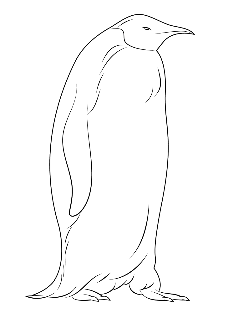 Desenho de Pinguins para colorir e imprimir: número 12