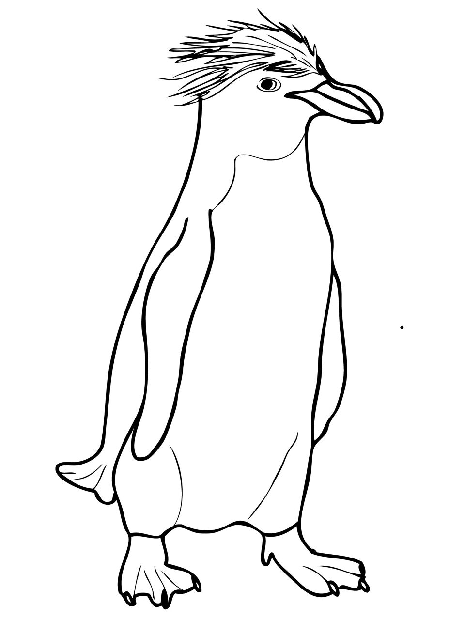 Desenho de Pinguins para colorir e imprimir: número 20