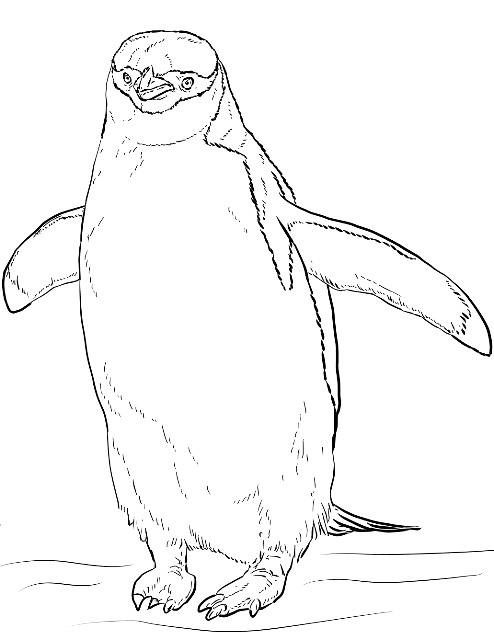 Desenho de Pinguins para colorir e imprimir: número 28
