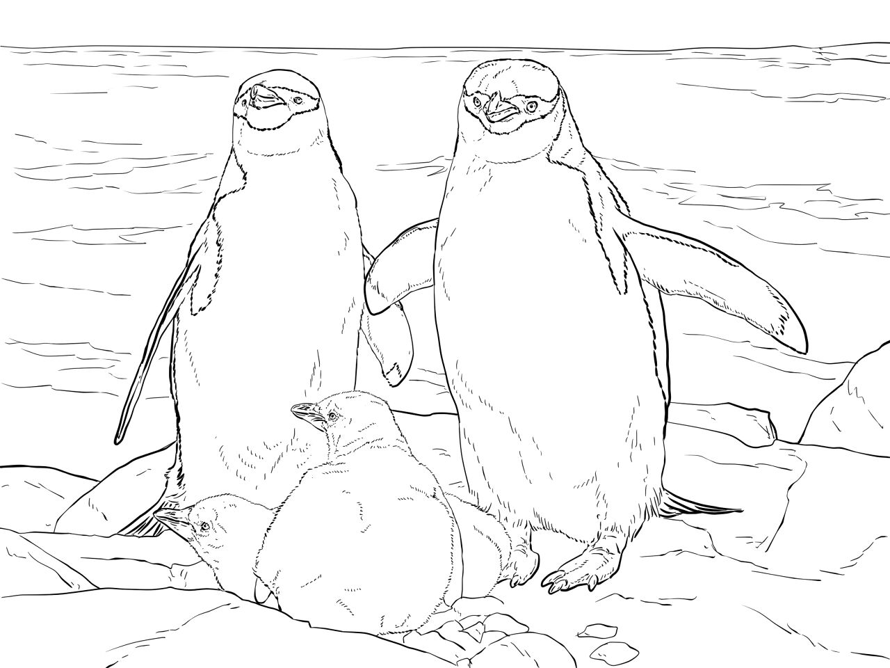 Desenho de Pinguins para colorir e imprimir: número 29