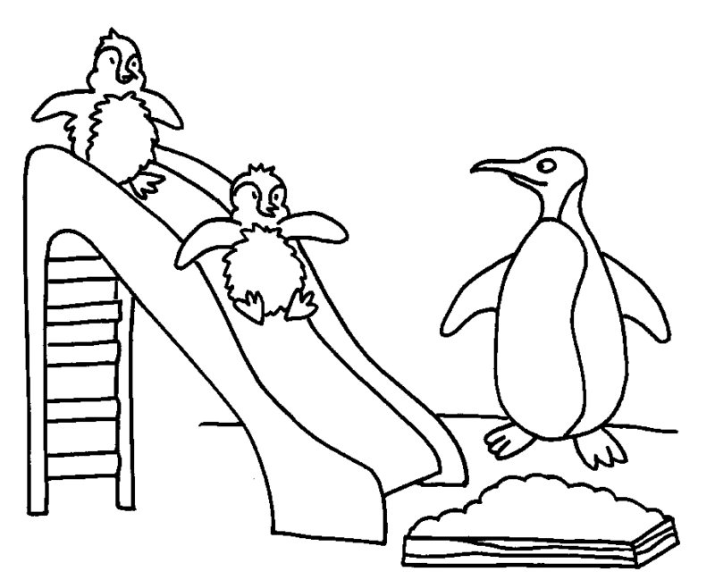 Desenho de Pinguins para colorir e imprimir: número 47