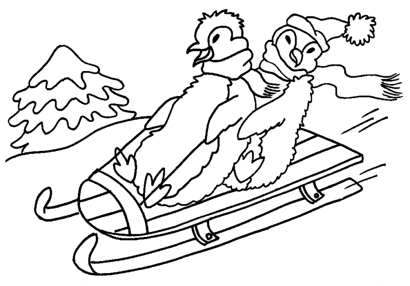 Desenho de Pinguins para colorir
