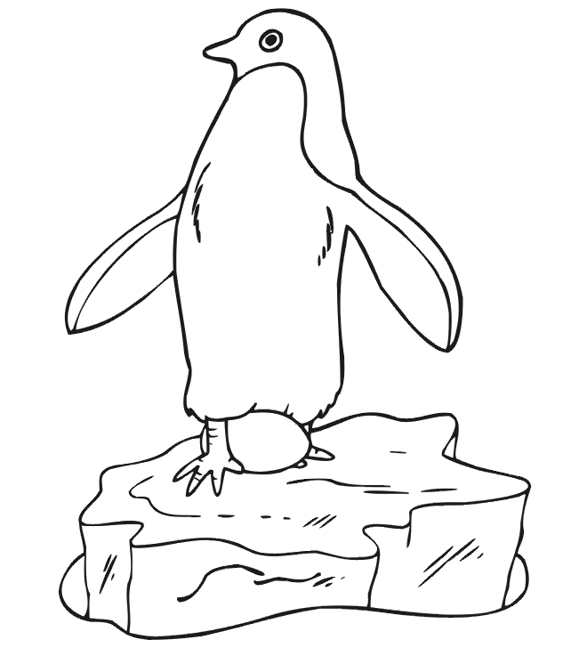 Desenho de Pinguins para colorir