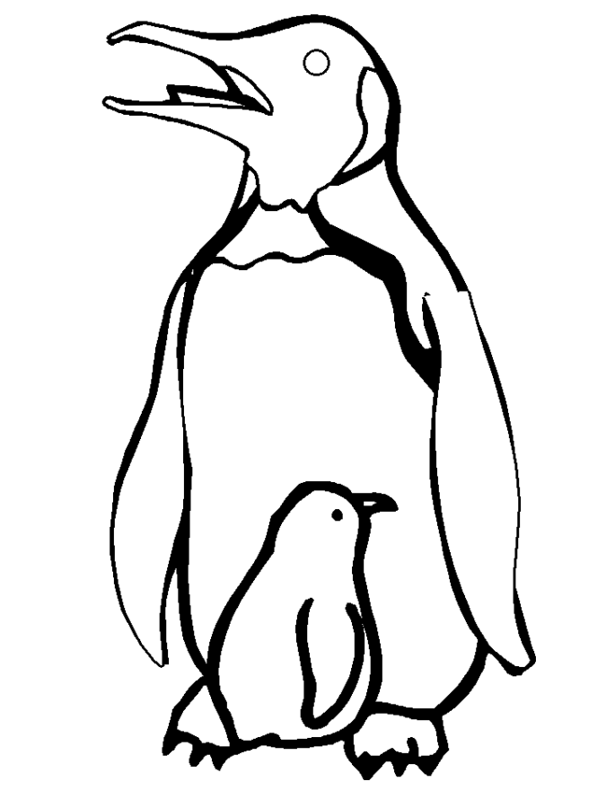 Desenho de Pinguins para colorir