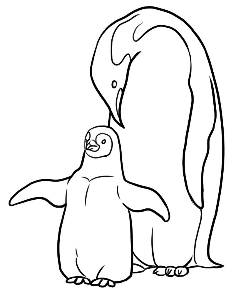Desenho de Pinguins para colorir