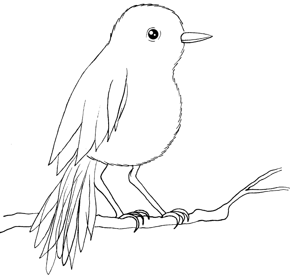 Desenho de Pisco para colorir e imprimir: número 7