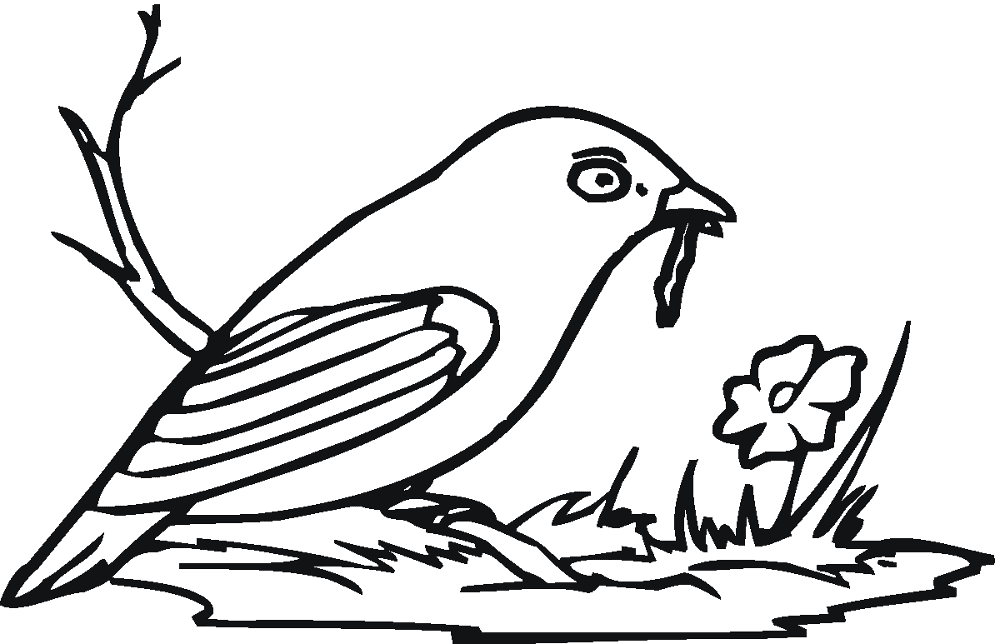 Desenho de Pisco para colorir e imprimir: número 17