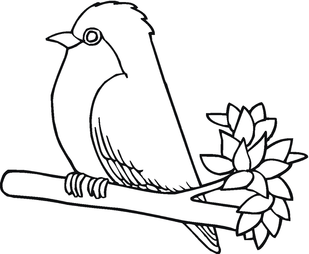 Desenho de Pisco para colorir e imprimir: número 18
