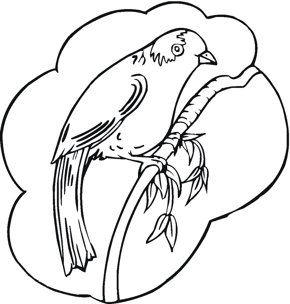 Desenho de Pisco para colorir e imprimir: número 22