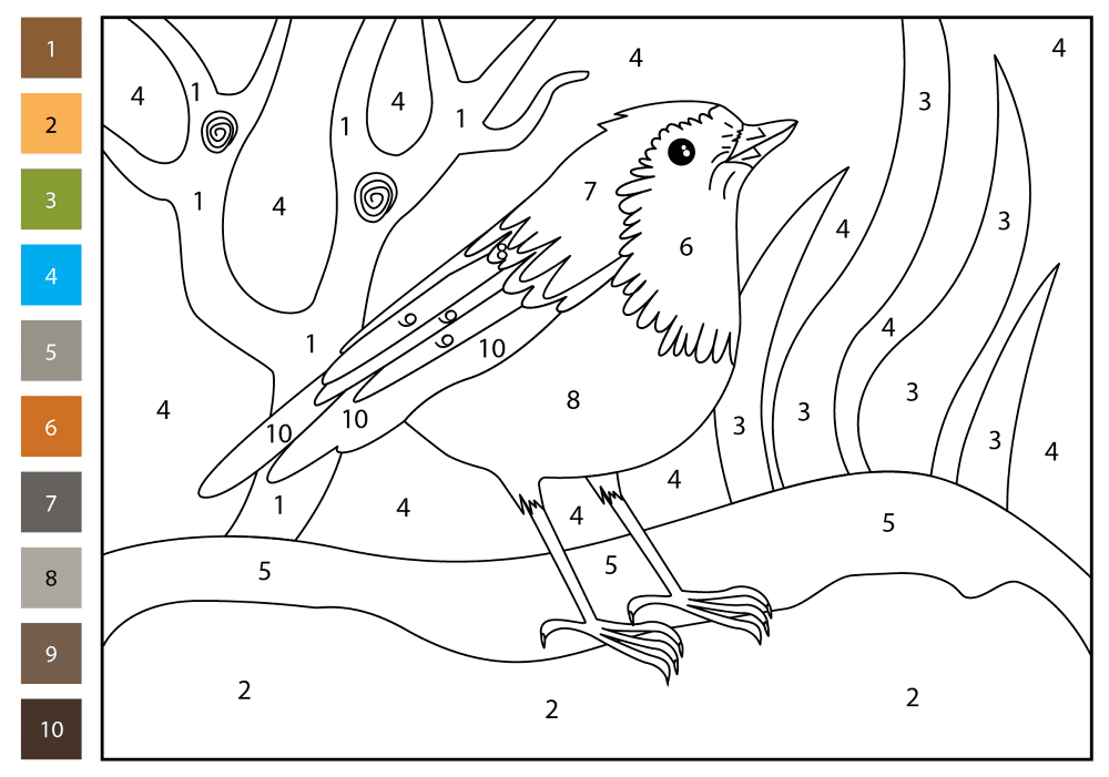 Desenho de Pisco para colorir e imprimir: número 25