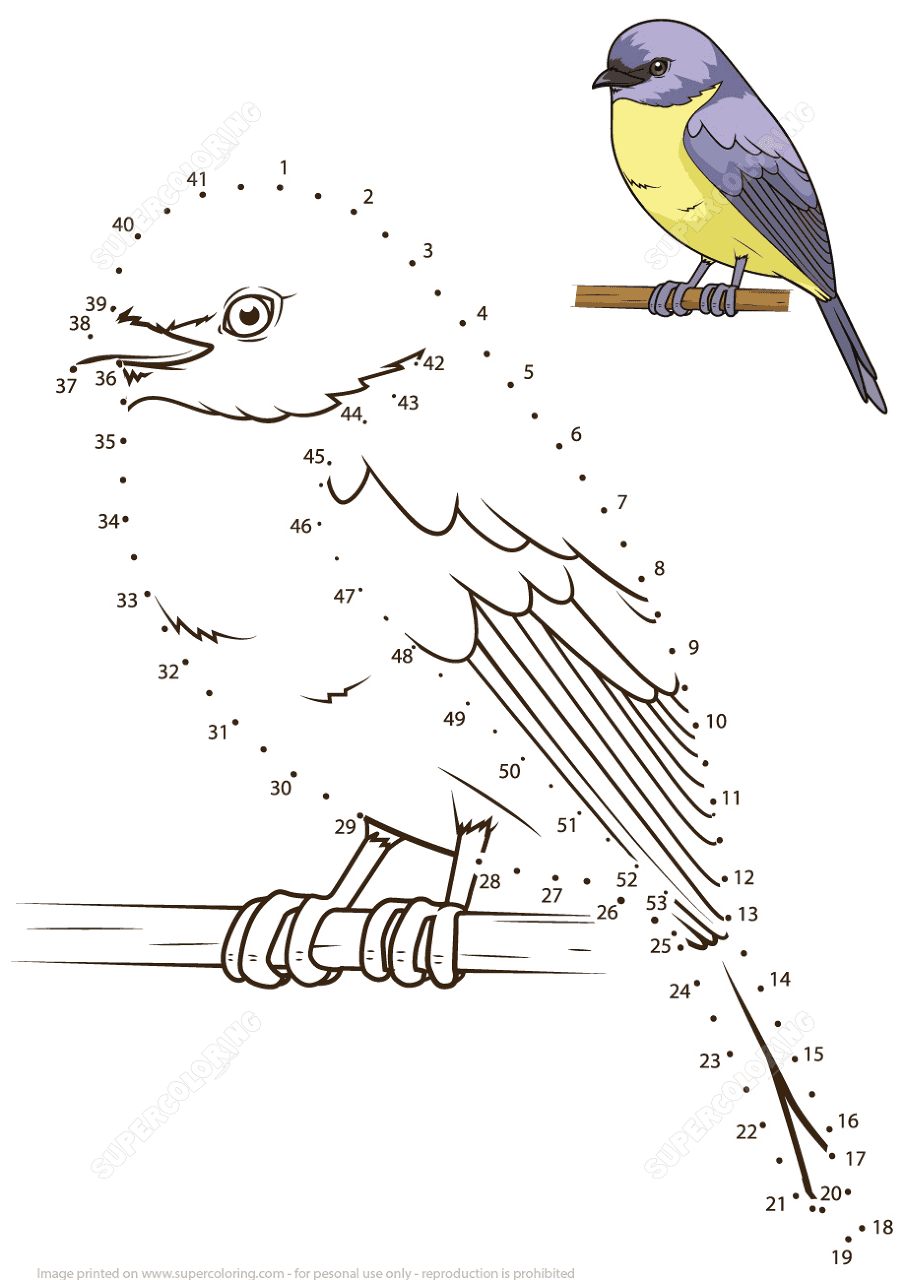 Desenho de Pisco para colorir e imprimir: número 30