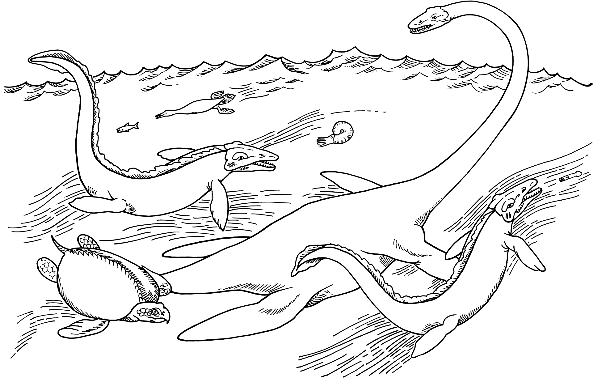 Desenho de Plesiossauro para colorir e imprimir: número 2