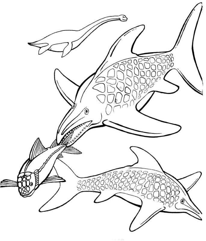 Desenho de Plesiossauro para colorir e imprimir: número 5