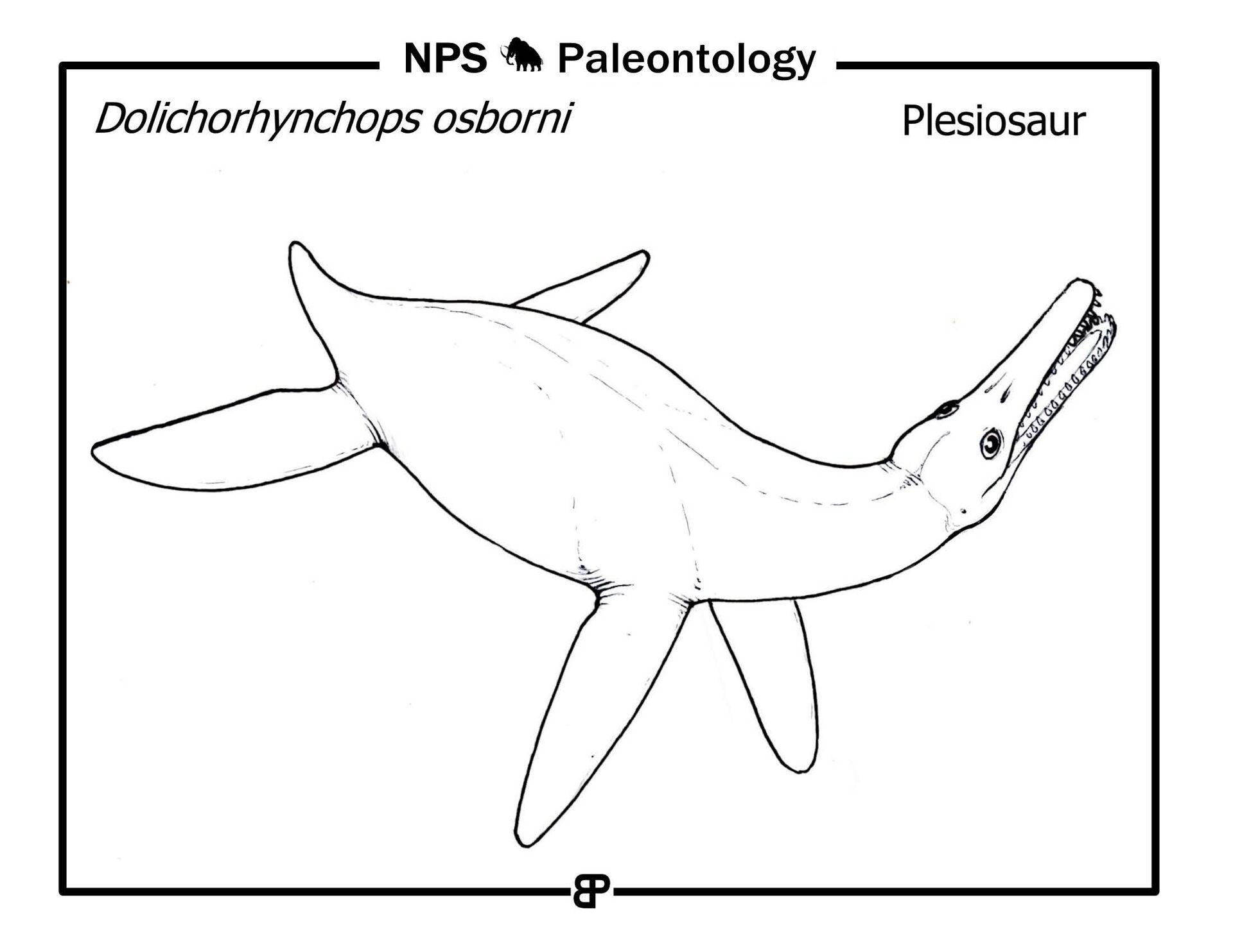 Desenho de Plesiossauro para colorir e imprimir: número 7