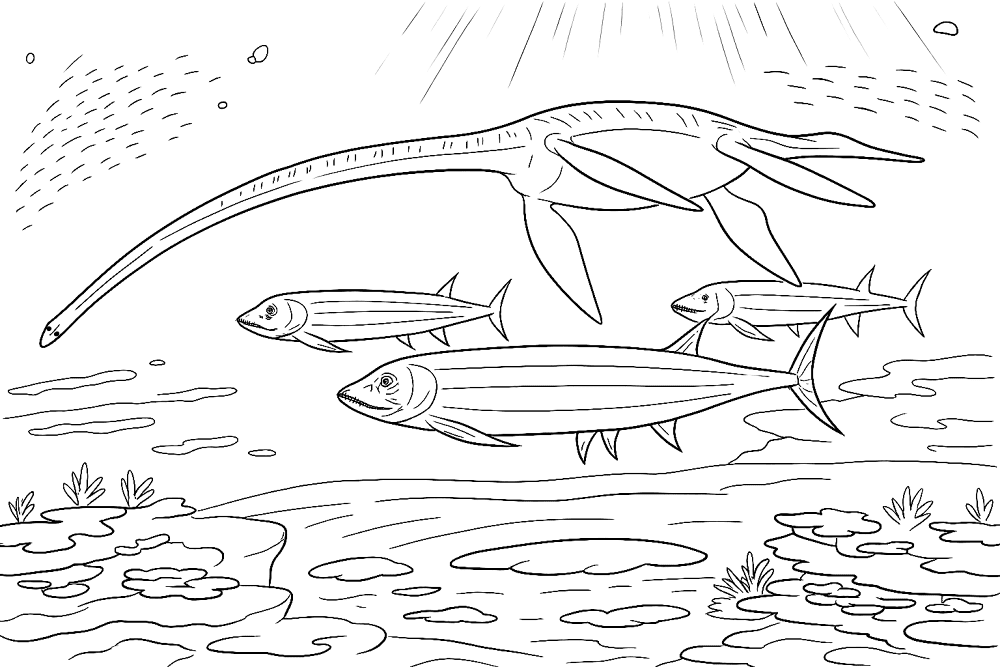 Desenho de Plesiossauro para colorir e imprimir: número 11