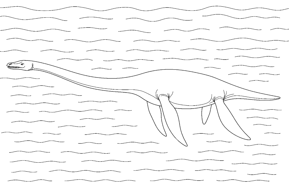 Desenho de Plesiossauro para colorir e imprimir: número 12