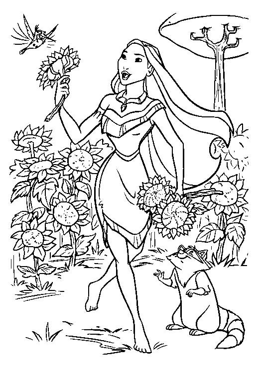Desenho de Pocahontas para colorir e imprimir: número 14
