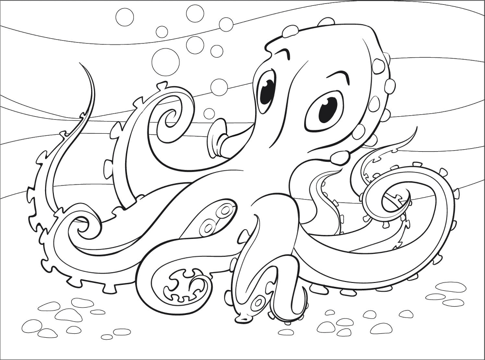 Desenho de Polvo para colorir e imprimir: número 4