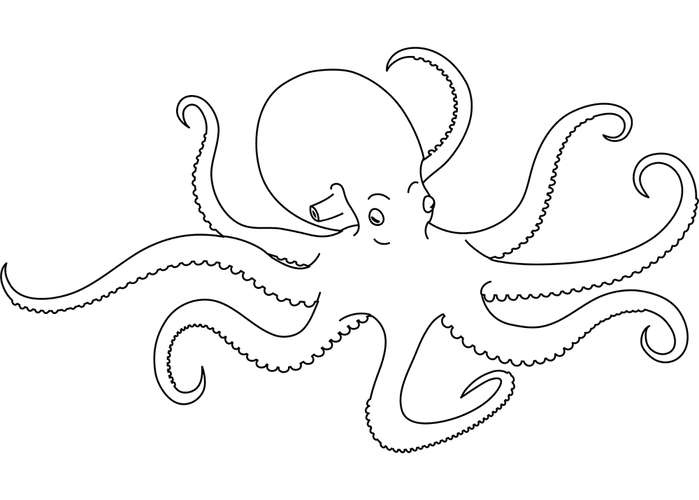 Desenho de Polvo para colorir e imprimir: número 10