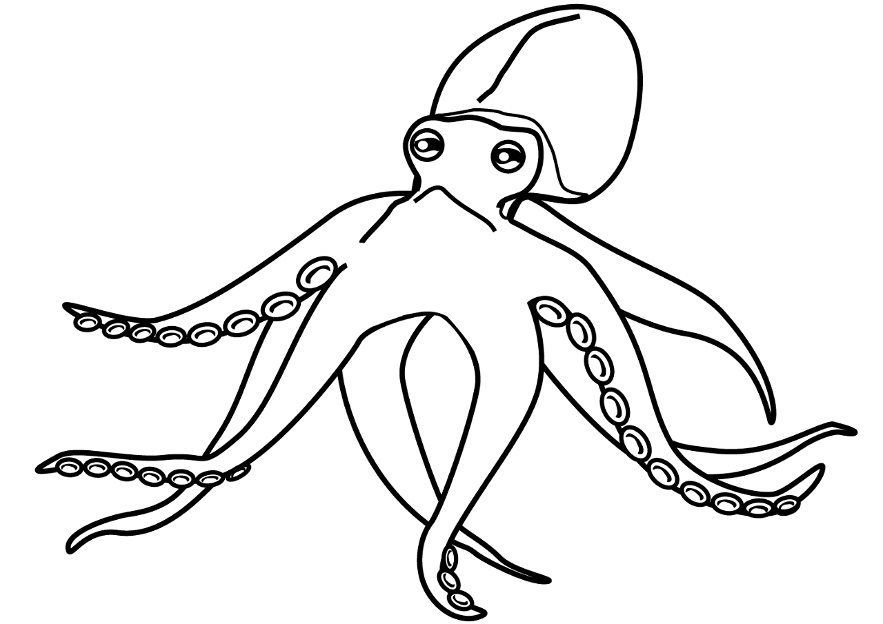 Desenho de Polvo para colorir e imprimir: número 21