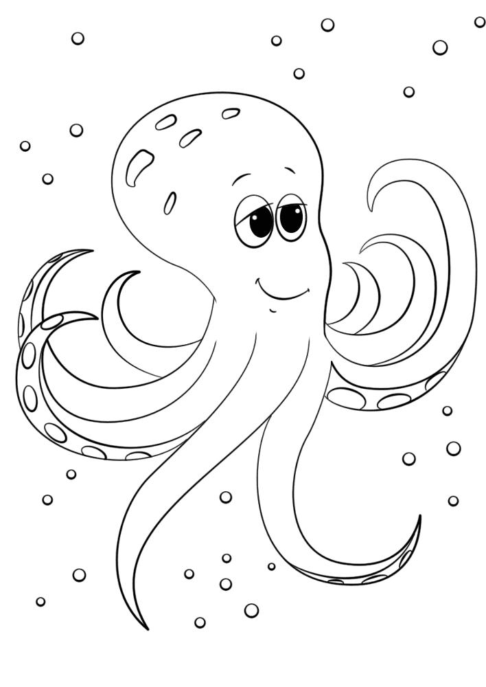 Desenho de Polvo para colorir e imprimir: número 25