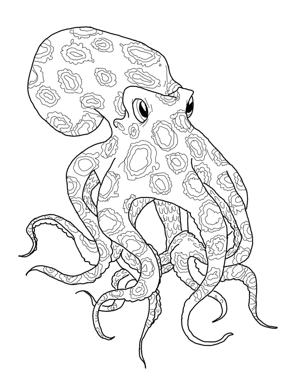 Desenho de Polvo para colorir e imprimir: número 36