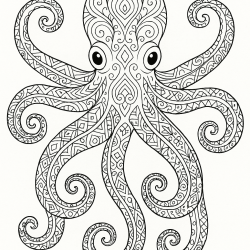 Desenho de Polvo para colorir