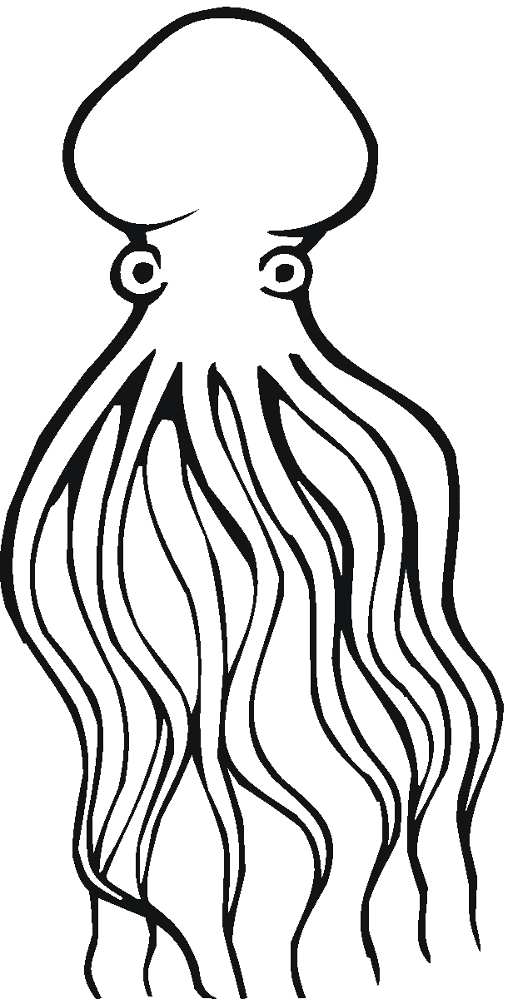 Desenho de Polvo para colorir