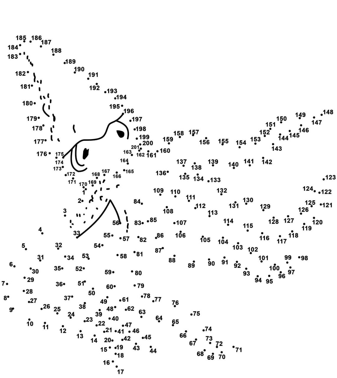 Desenho de Polvo para colorir