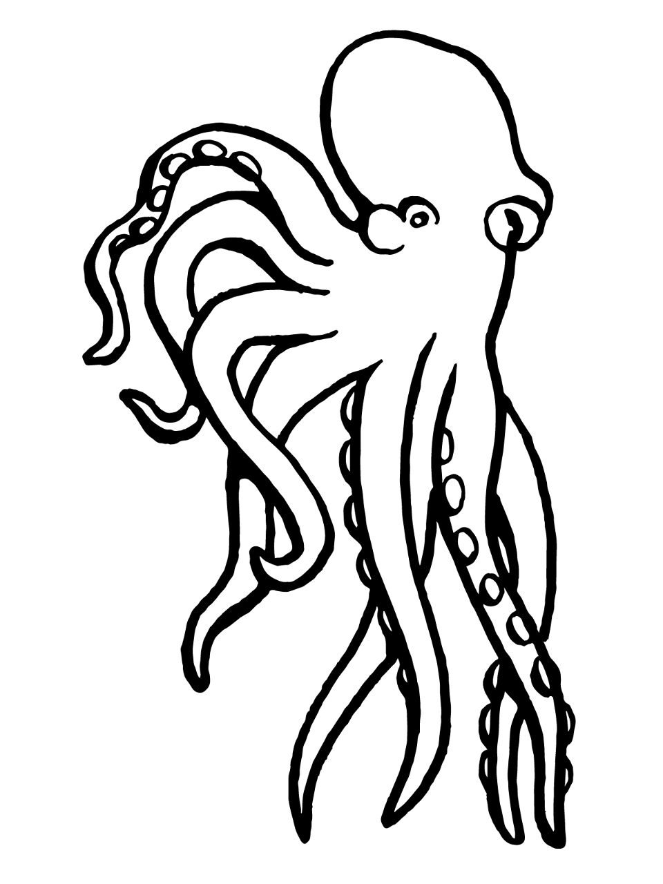 Desenho de Polvo para colorir