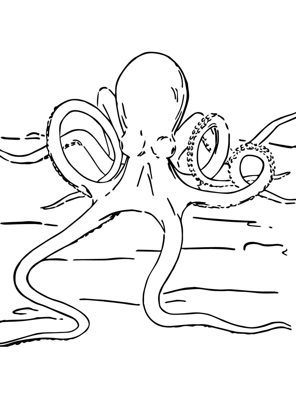 Desenho de Polvo para colorir