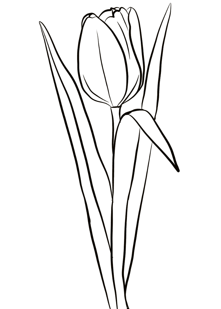 Desenho de Primavera para colorir e imprimir: número 5