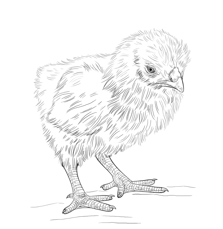 Desenho de Primavera para colorir e imprimir: número 12